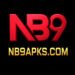 Nb9